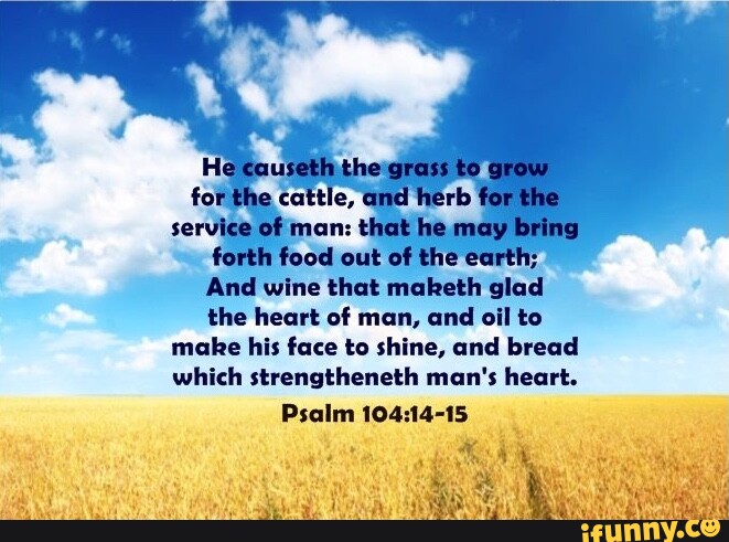Herbs For The Service Of Man He causeth the grass to grow for the cattle, and herb for the service
