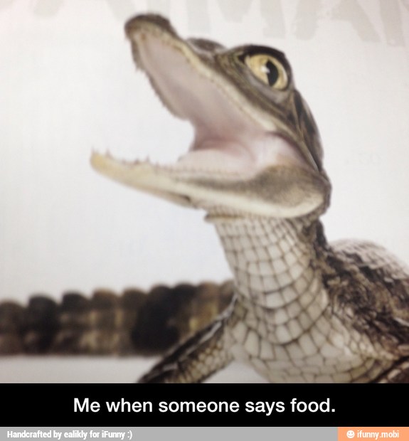 Me when someone says food. - Me when someone says food.