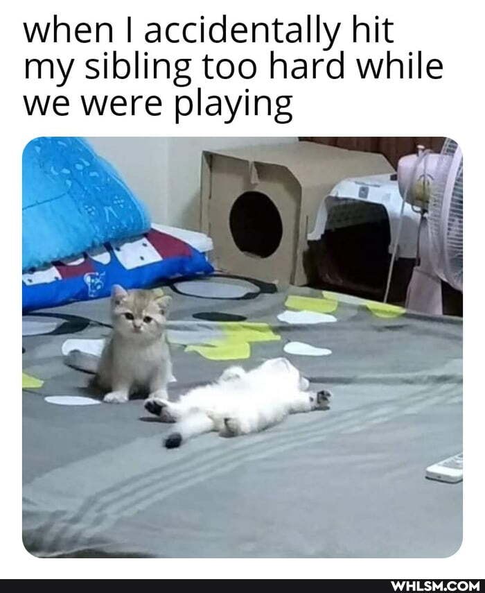 when I accidentally hit my sibling too hard while we were playing