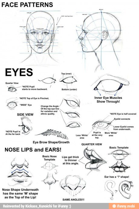 FACE PATTERNS
NOSE LIPS and EARS!