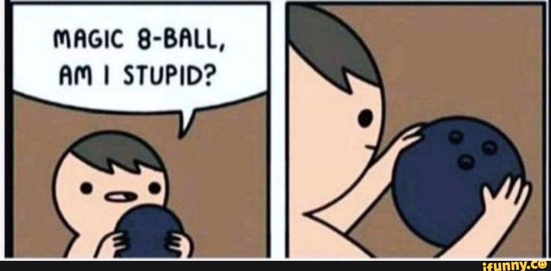 Magic 8 Ball Am I Stupid Meme