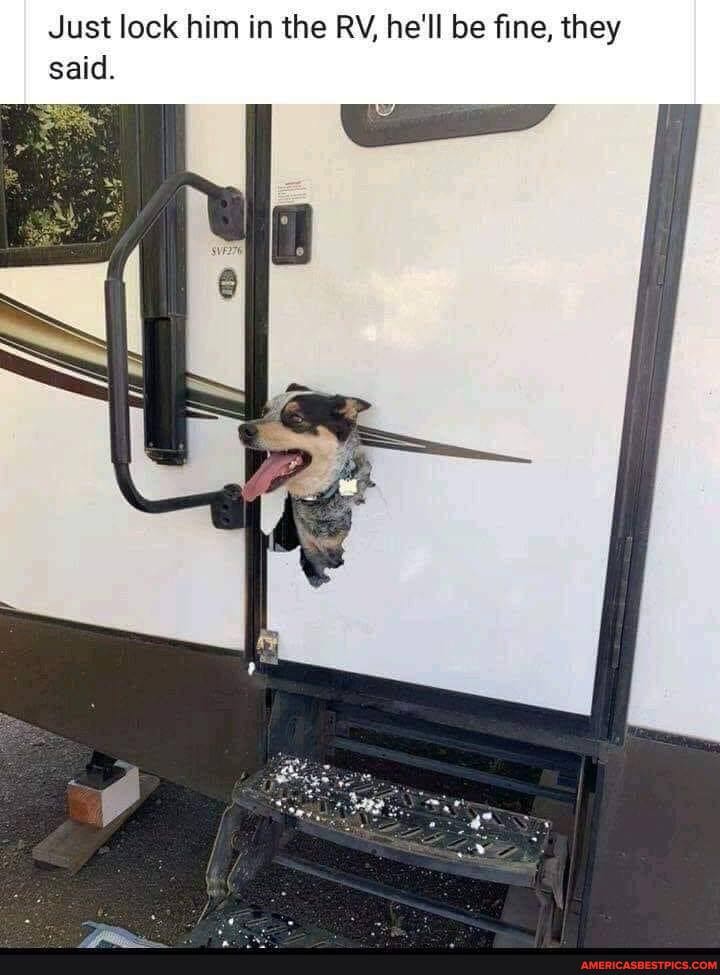 Just lock him in the RV, he'll be fine, they said.