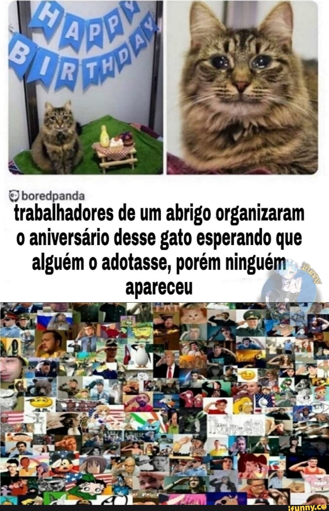 boredpanda trabalhadores de um abrigo organizaram
o aniversário desse gato esperando que alguém o adotasse, porém ninguém apareceu
Zá uz: