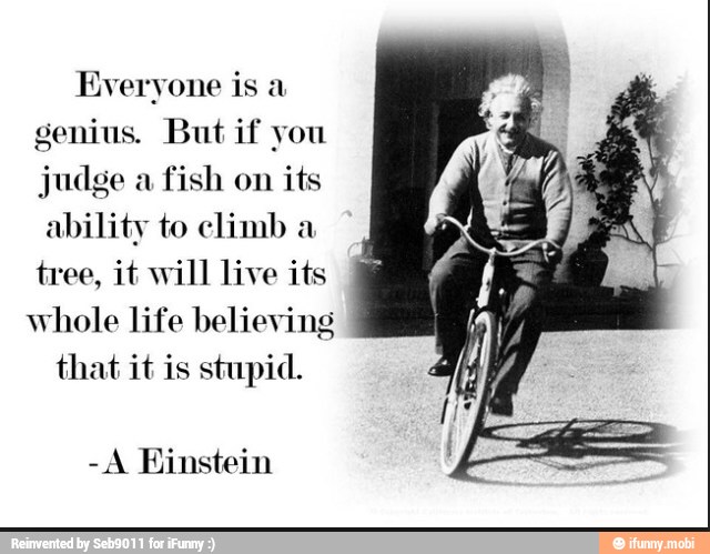 Everyone is a
genius. But if you
judge a
fish on
its
ability to climb a
tree, it will live its
whole life believing
that it is stupid.
-A Einstein