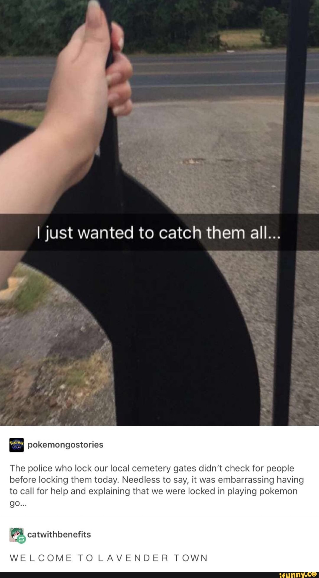ljust wanted to catch them all...
pokemongostories
The police Who lock our local cemetery gates didn't check for people
before locking them today. Needless to say, it was embarrassing having
to call for help and explaining that we were locked in playing pokemon
go...
%catwithbenefits
WELCOME TO LAVENDER TOWN