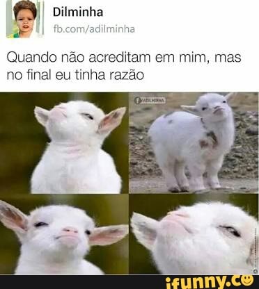 Ho
Quando não acreditam em mim, mas
no final eu tinha razão