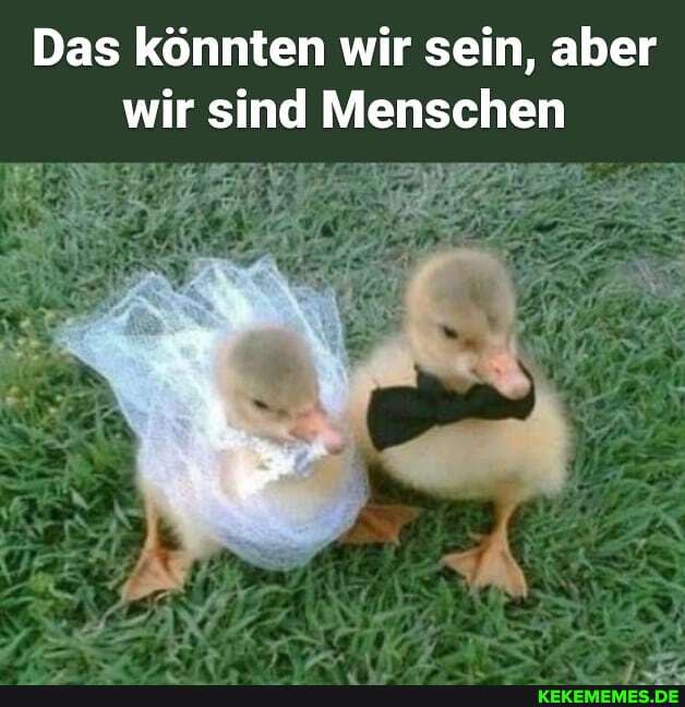 Das könnten wir sein, aber wir sind Menschen