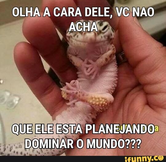 OLHA;A CARA DELE, VC NÃO,
Games