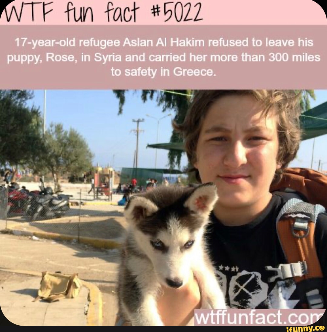 #5022 V-ysar-ale Hakiai -efused lee ye ris ore [an nies - iFunny