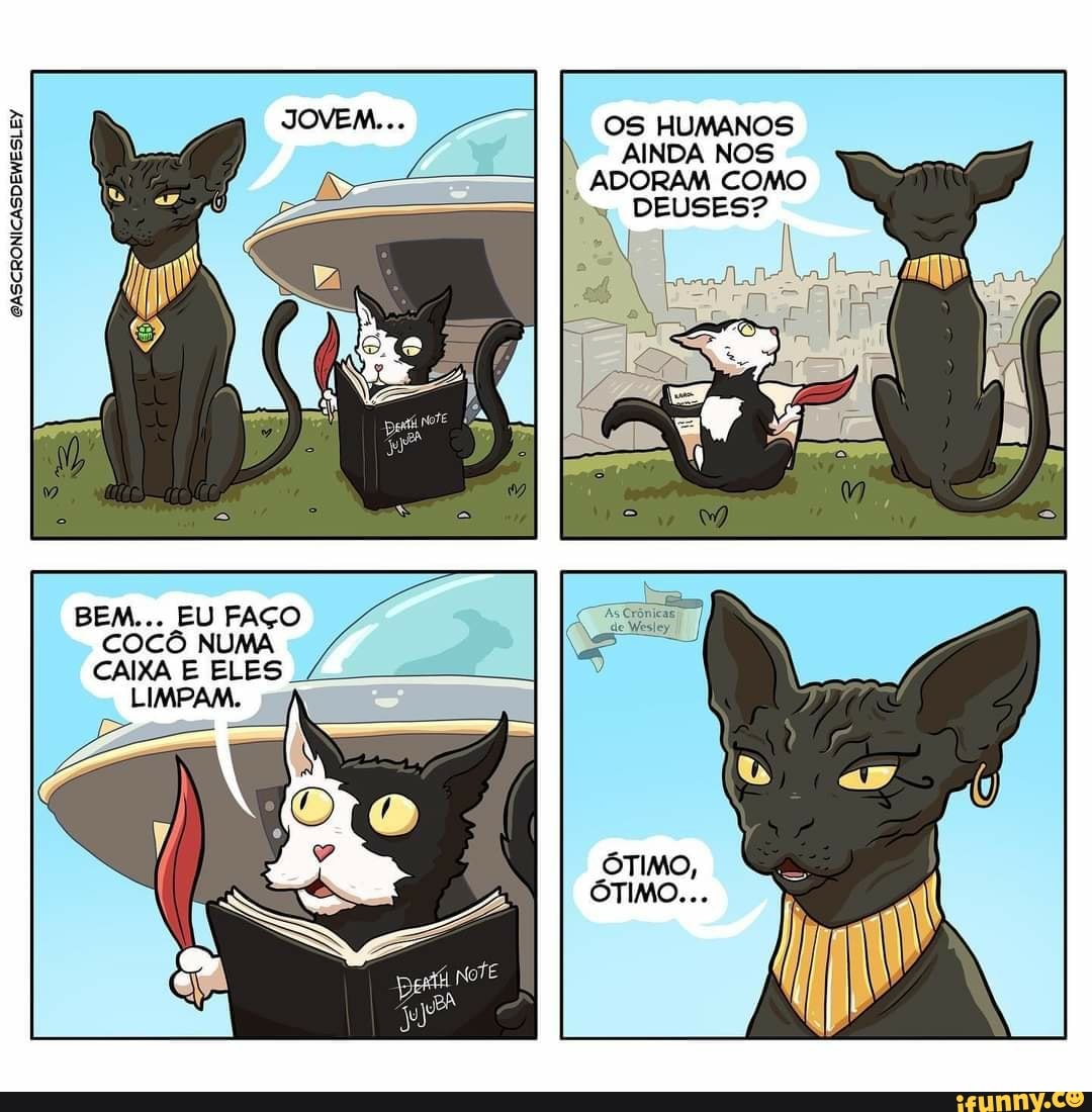 ES
OS HUMANOS AINDA NOS ADORAM COMO DEUSES?
BEM... EU FAÇO COCÔ NUMA CAIXA E ELES
