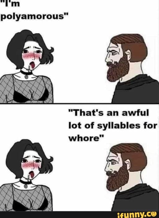 Em Polyamorous Thats An Awful Lot Of Syllables For Whore Ifunny