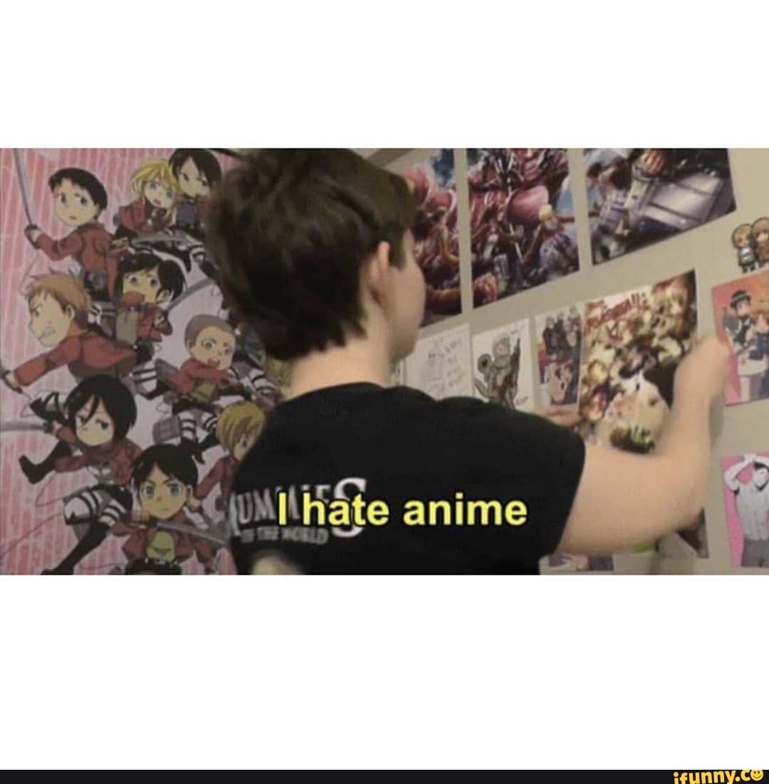 <b>hate</b> anime.