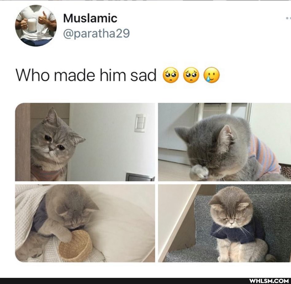 2, Muslamic @paratha29
Who made him sad