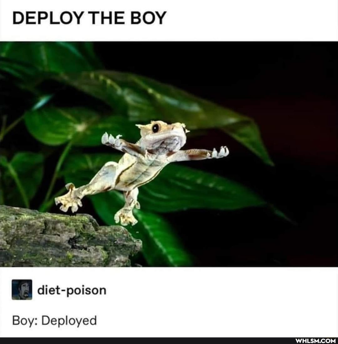 DEPLOY THE BOY
Boy: Deployed