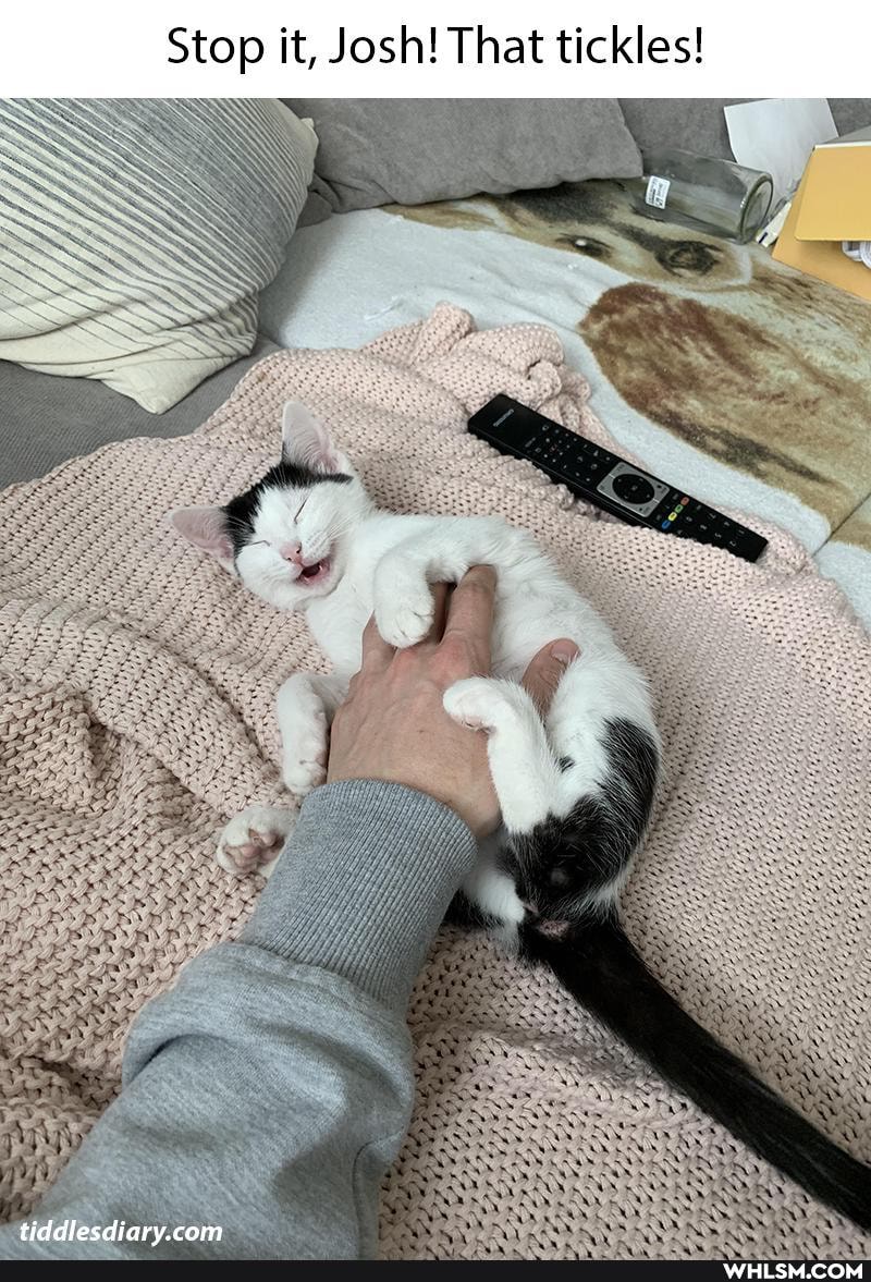 Stop it, Josh! That tickles!
cam