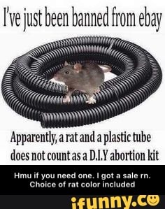 just been banned from ebay
awn"
Apparently, rat and plastic tube
does not count as D.LY abortion kit
Hmu if you Choice need one. got a sale rn.
Choice of rat color included - Hmu if you need one. I got a sale rn. Choice of rat color included