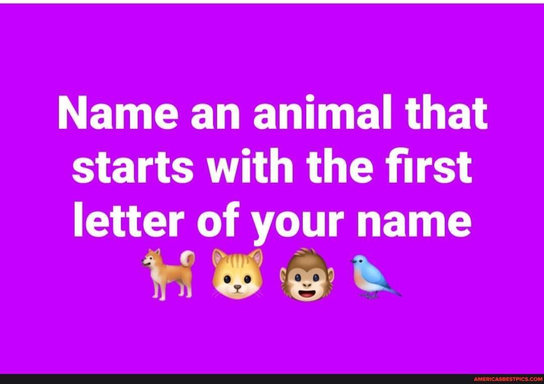 Name an animal that starts with the first letter of your name Set -  
