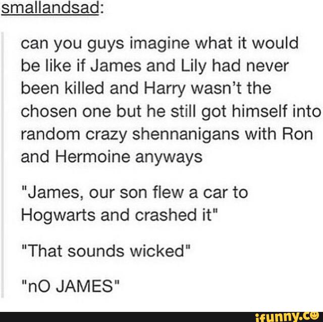 smallandsad:
can you guys imagine what it would
be like if James and Lily had never
been killed and Harry wasn’t the
chosen one but he still got himself into
random crazy shennanigans with Ron
and Hermoine anyways
"James, our son flew a car to
Hogwarts and crashed it"
"That sounds wicked“
"nO JAMES"