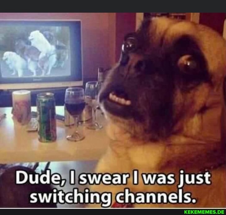 Dude, swear was just switching channels.