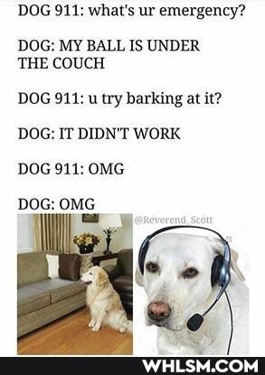DOG 911: what's ur emergency?
DOG: MY BALL IS UNDER THE COUCH
DOG 911: u try barking at it?
DOG: IT DIDN'T WORK DOG 911: OMG
DOG: OMG