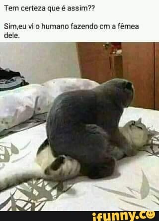 Tem certeza que é assim??
Sim, eu vi o humano fazendo cm a fêmea
