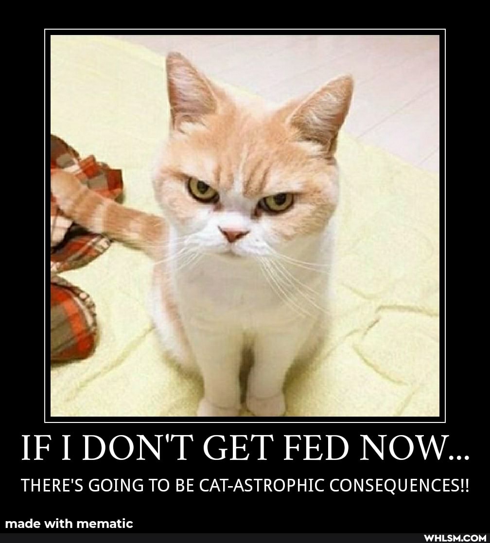 Se
IF DON'T GET FED NOW...
THERE'S GOING TO BE CAT-ASTROPHIC CONSEQUENCES!!!