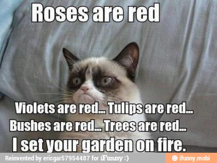 Violets are
red ruins
are red.
Bushes are redETrees are red.
Isetyour garden on fire.