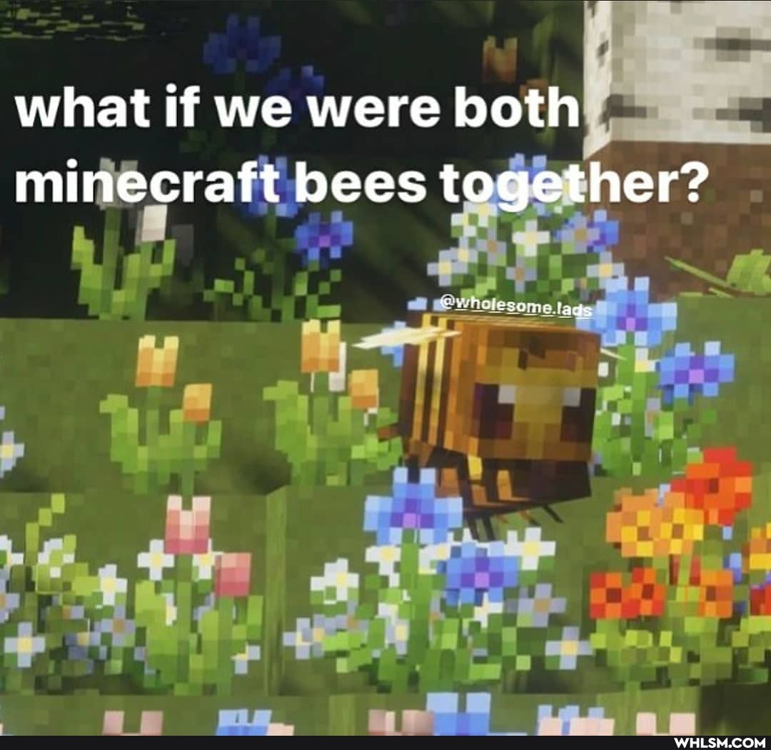 _bees together?
what if we were both
minecraft bees