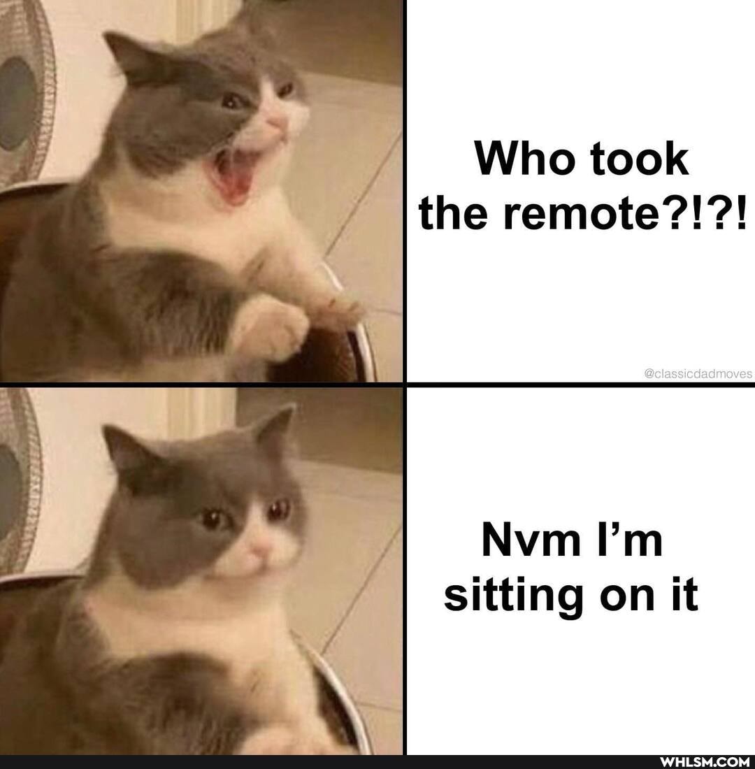Who took the remote?!?!
Nvm I'm sitting on it