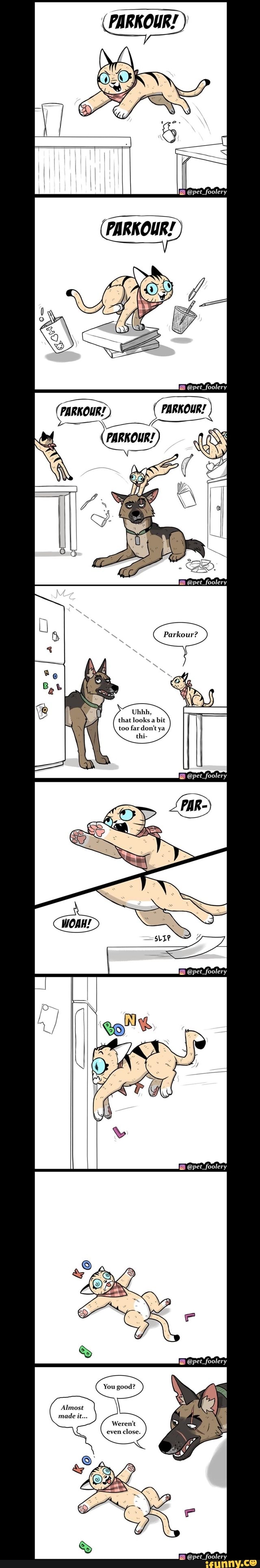 (PARKOUR!
@pet_foolery
(furwour?) (PARKOURY
PARKOUR!
