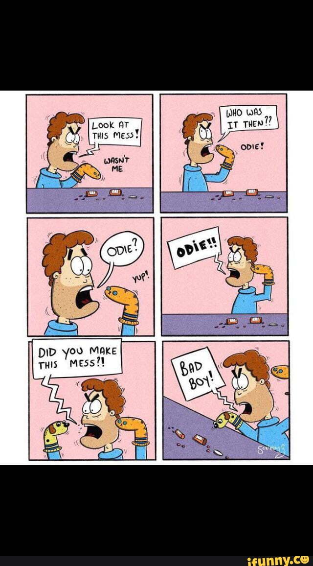 DID you MAKE THis Mess?!