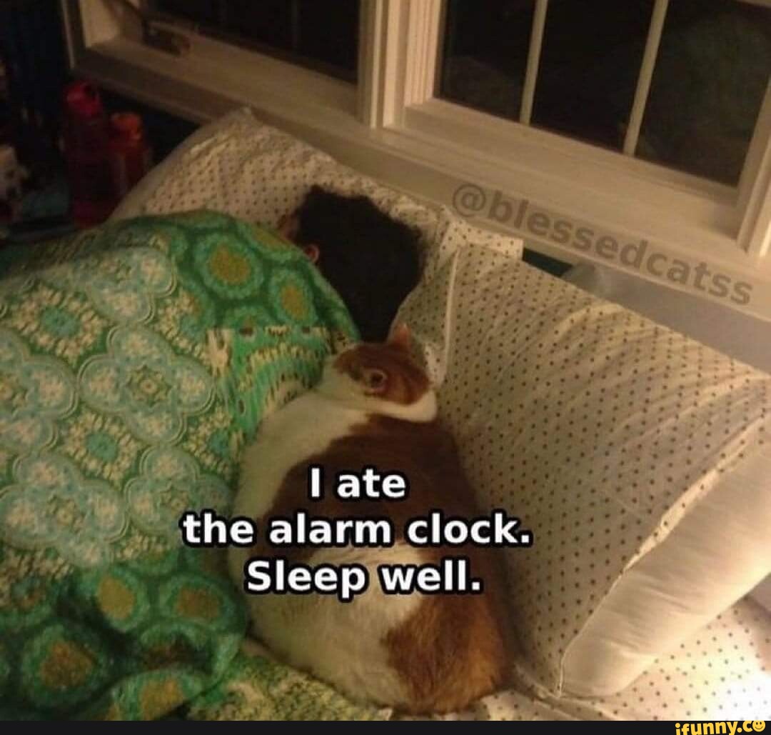 I ate the alarm clock. Sleep well. iFunny