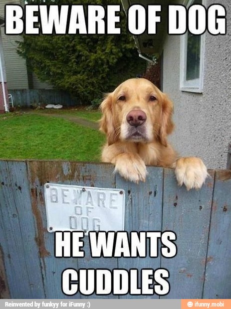 BEWARE OF DOG
A