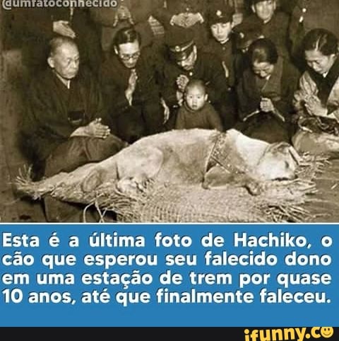 Esta é a última foto de Hachiko, cão que esperou seu falecido dono em uma estação de trem por quase
10 anos, até que finalmente faleceu,