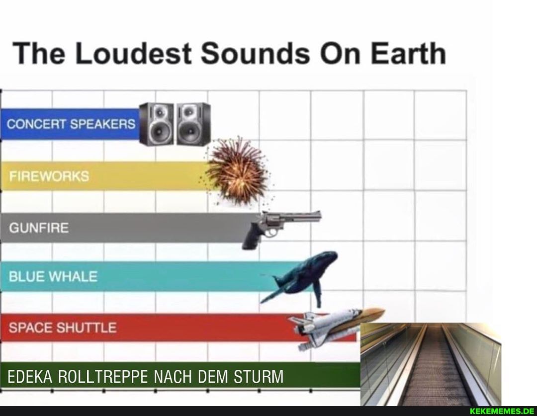 The Loudest Sounds On Earth
CONCERT SPEAKERS
GUNFIRE
EDEKA ROLLTREPPE NACH DEM STURM
