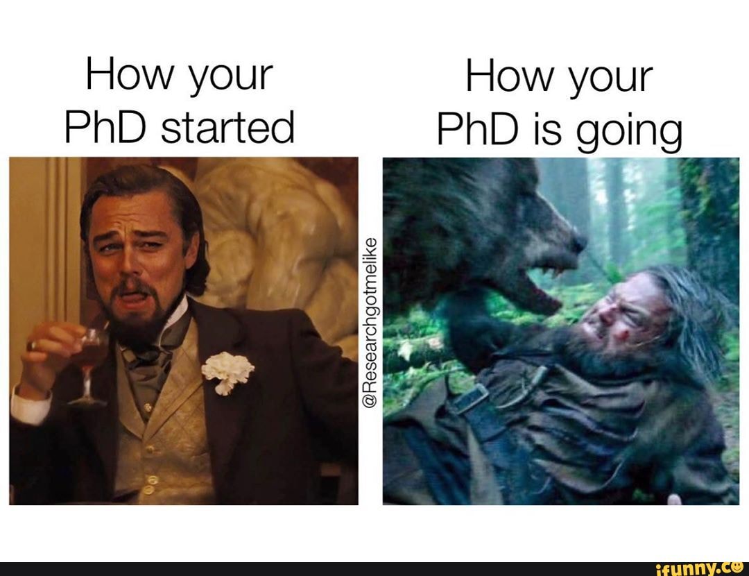 how-your-how-your-phd-started-phd-is-going-am-ifunny