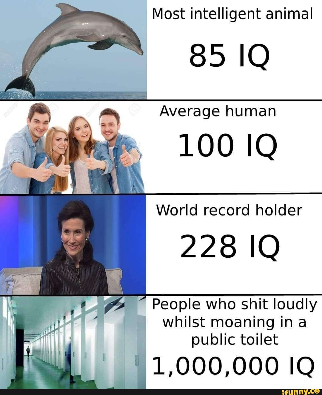 Most intelligent animal 85 IQ Average human LOO IQ World record holder 228  IQ People who shit loudly I whilst moaning ina public toilet 1,000,000 IQ -  