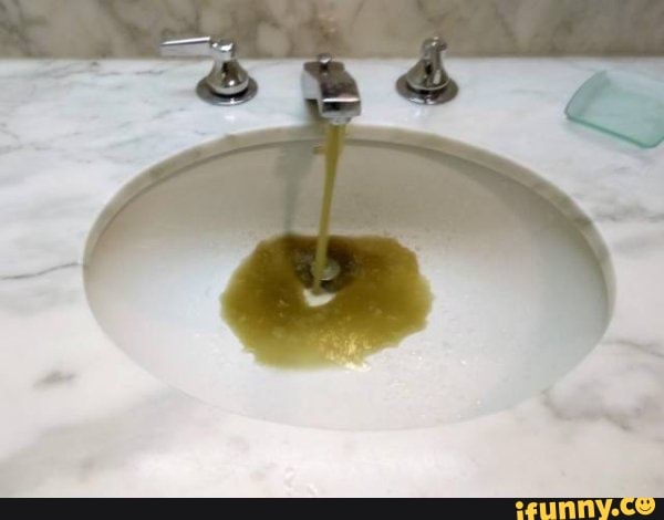 funny, gross, noonitwithfire, cursed_images, illshowmyselfout