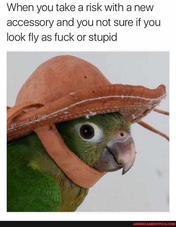 When you take a risk with a new accessory and you not sure if you look fly as fuck or stupid