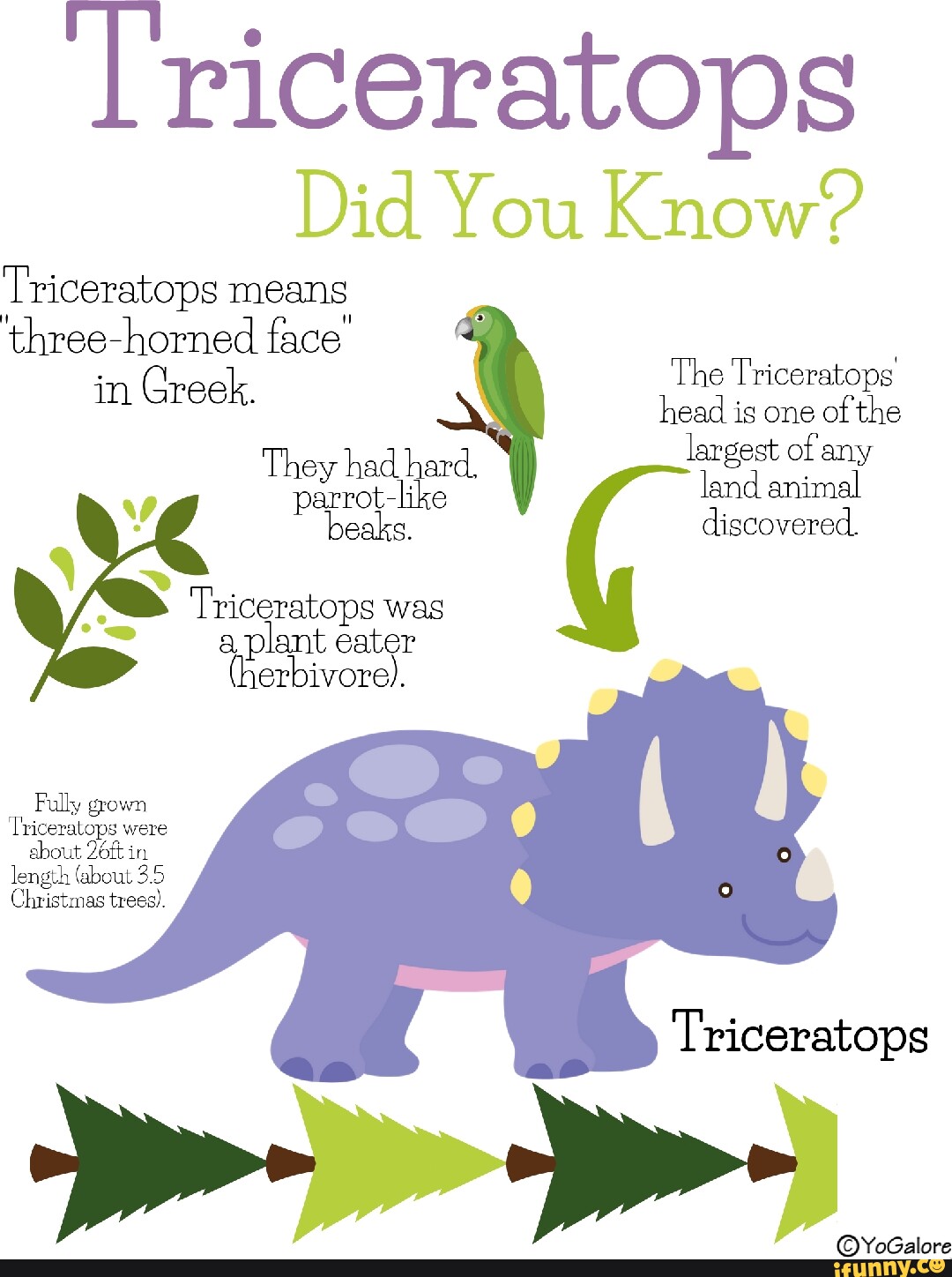 Triceratops Did You Know? Triceratops means three-horned face The ...