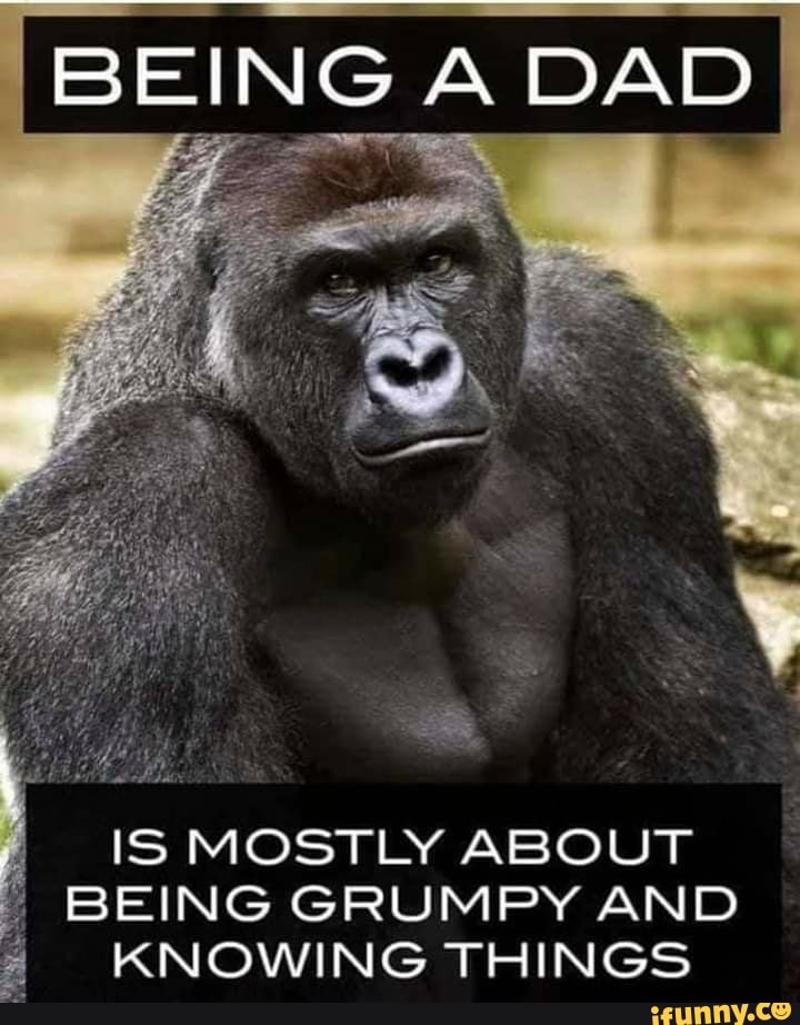 BEING A DAD IS MOSTLY ABOUT BEING GRUMPY AND A KNOWING THINGS - iFunny