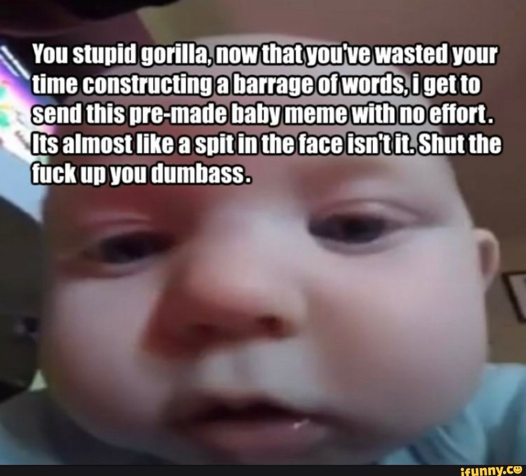 You Stupid Gorilla Now That You Ve Wasted Your Time Constructing A Barrage Of Words I