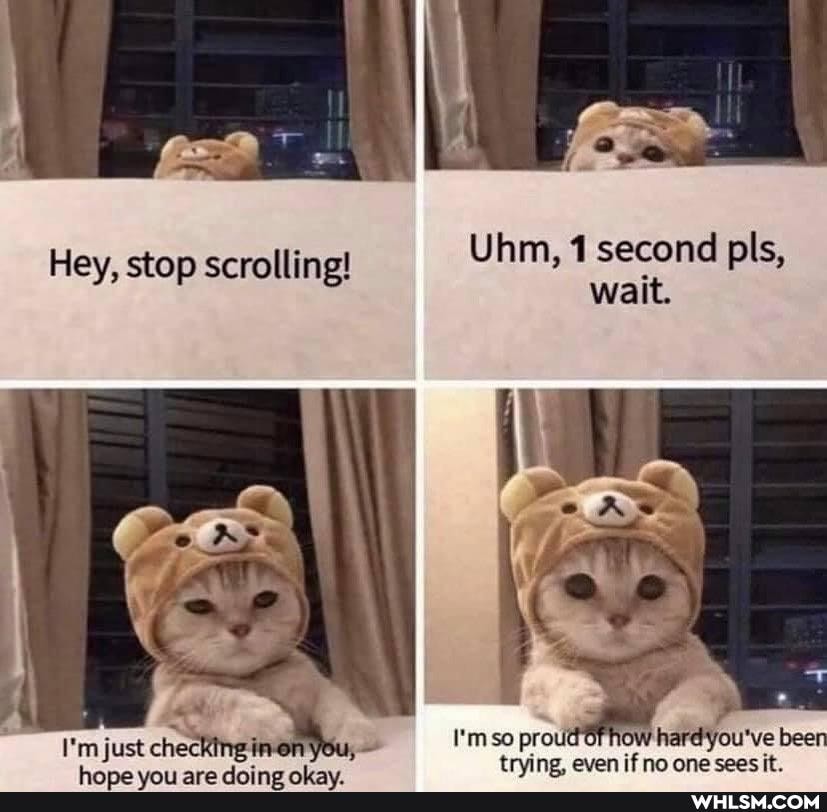 Uhm, 1 second pls, wait.
hard bean
Hey, stop scrolling!