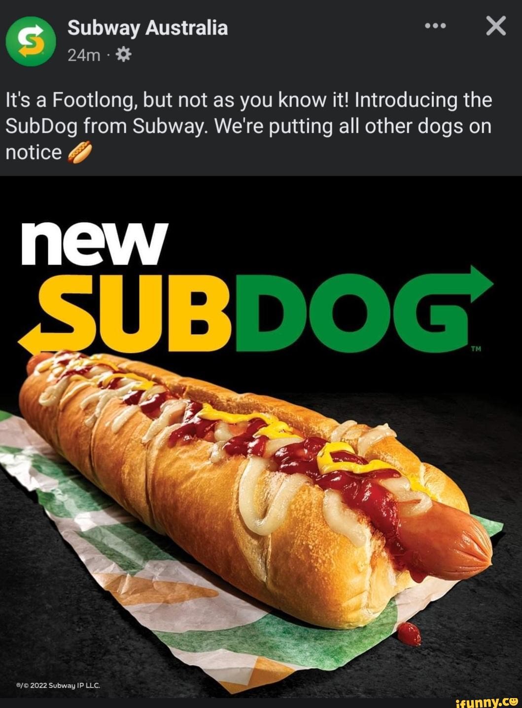 Subdog memes. Best Collection of funny Subdog pictures on iFunny