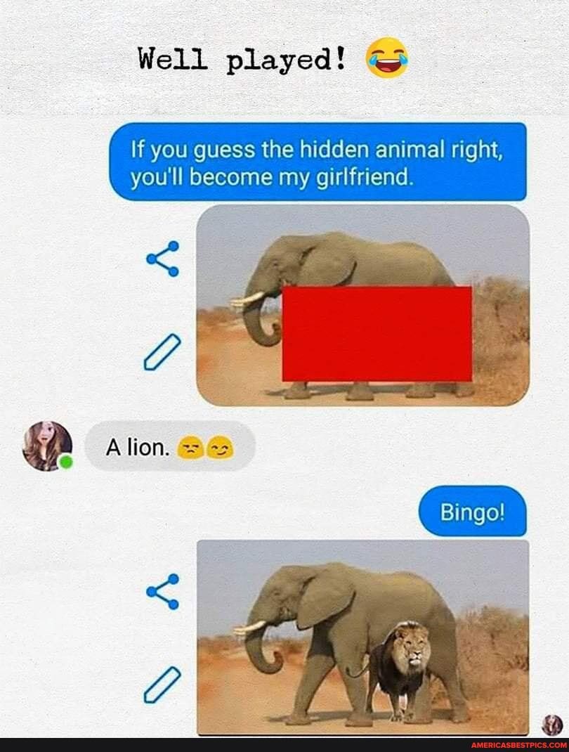 Well played! SS
I If you guess the hidden animal right, you'll become my girlfriend
Bingo!