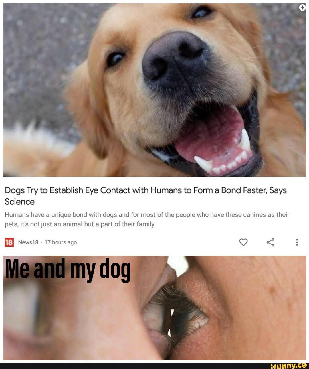 Dogs Try to Establish Eye Contact with Humans to Form a Bond Faster, Says
Science
Humans have a unique bond with dogs and for most of the people who have these canines as their pets, it's not just an animal but a part of their family.
News18 17 hours ago <
Meand