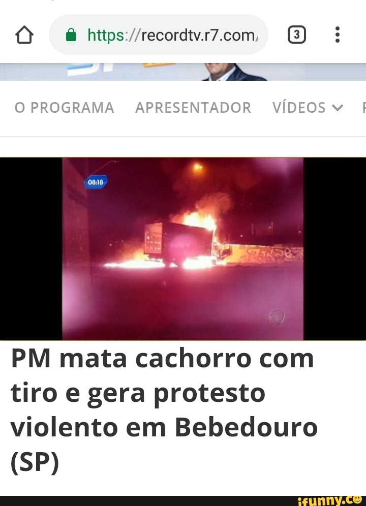 PM mata cachorro com
tiro e gera protesto
violento em Bebedouro