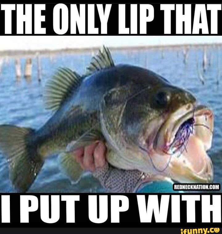 THE ONLY LIP THAT REDNECKNATION. OM I PUT UP WITH - iFunny