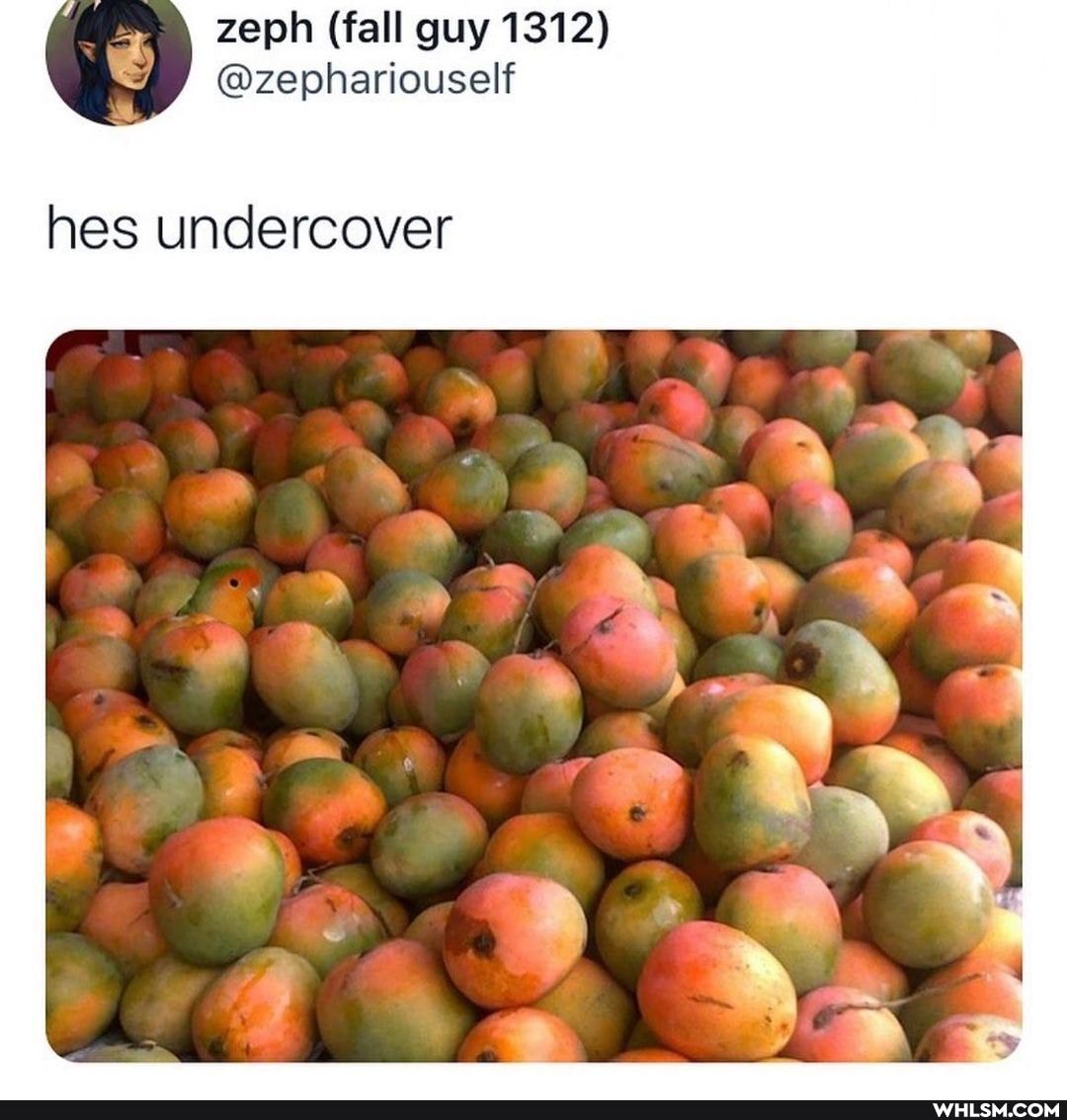 hes undercover