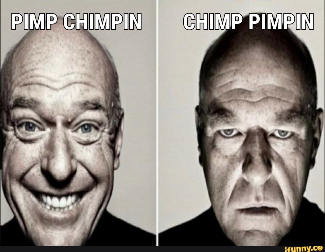 PIMP CHIMPIN CHIMP PIMPIN